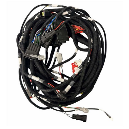 CUP 200 Road Chassis Wiring Harness