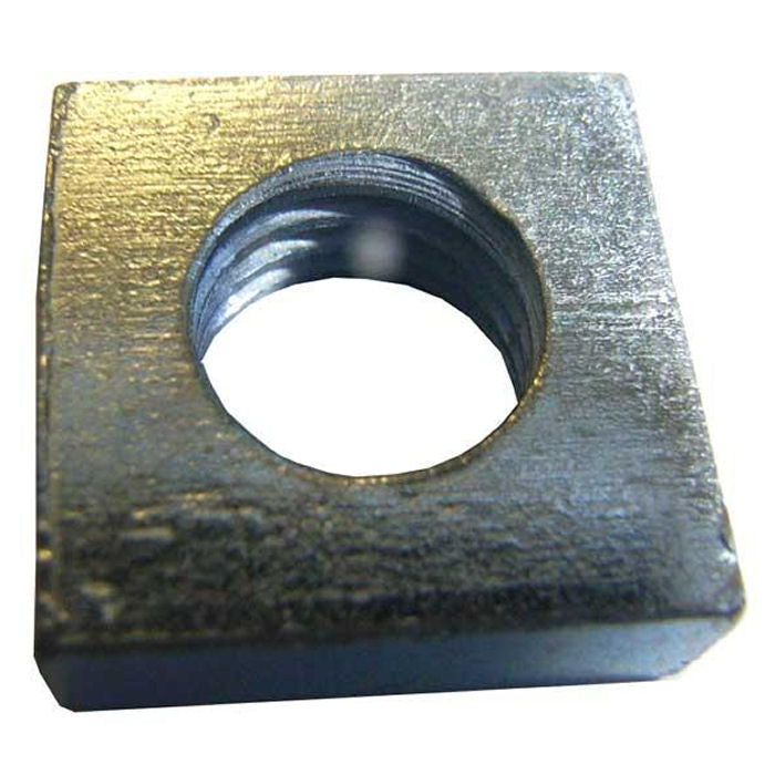 Square Nut BZP