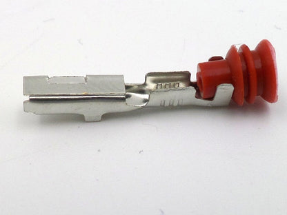 Suzuki Hayabusa Gen 1 Injector 2 Pin Plug